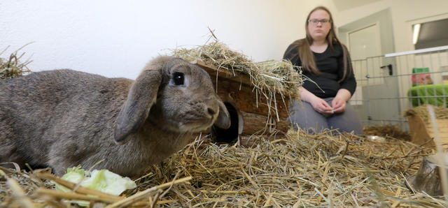 Foto im Tierheim